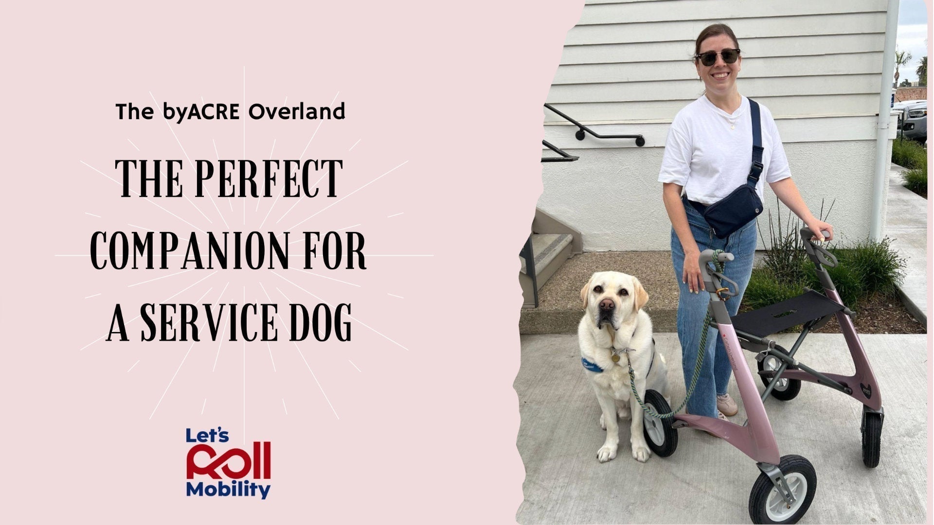 The byACRE Overland The Perfect Companion for a Service Dog