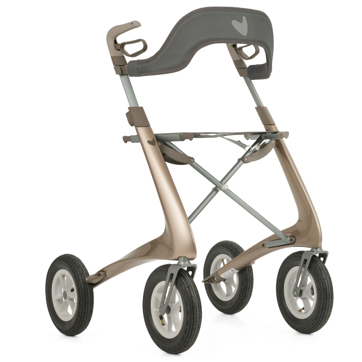 The padded backrest fitted to the bike, a carbon overland rollator 